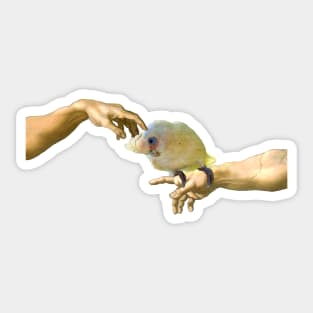 Creation of a Goffin's cockatoo Sticker